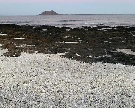 Villa Bonita - Paraiso En Fuerteventura - Remote Working *